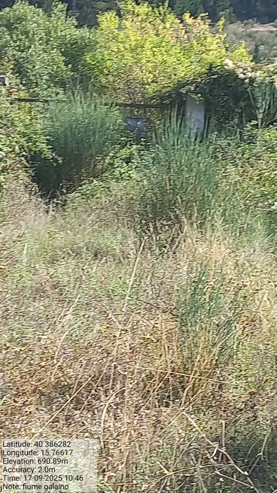 Galleria Fotografica Immagine