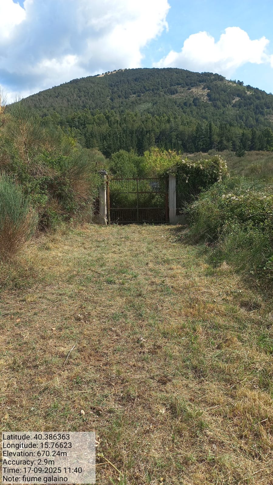 Galleria Fotografica Immagine