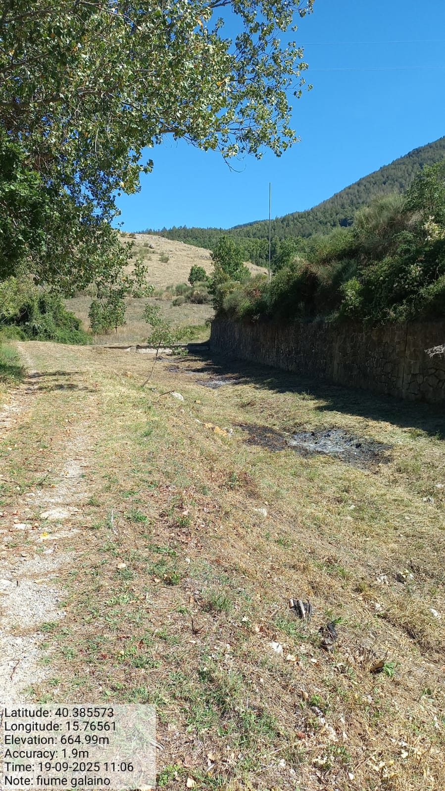 Galleria Fotografica Immagine