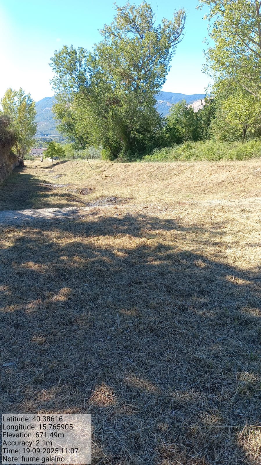 Galleria Fotografica Immagine