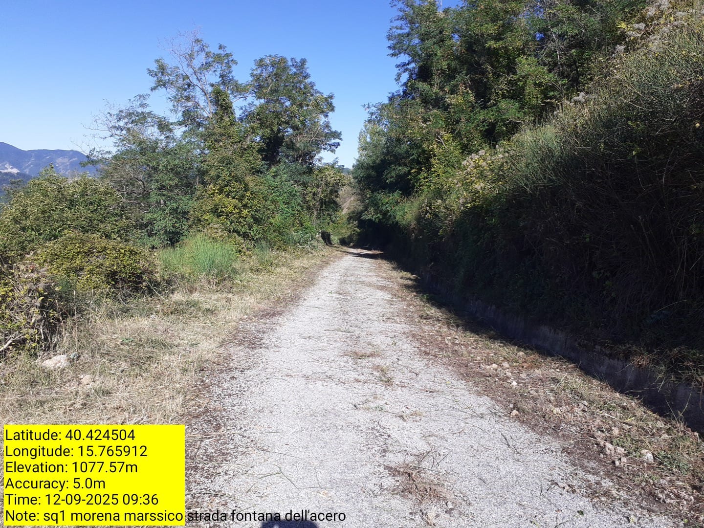 Galleria Fotografica Immagine