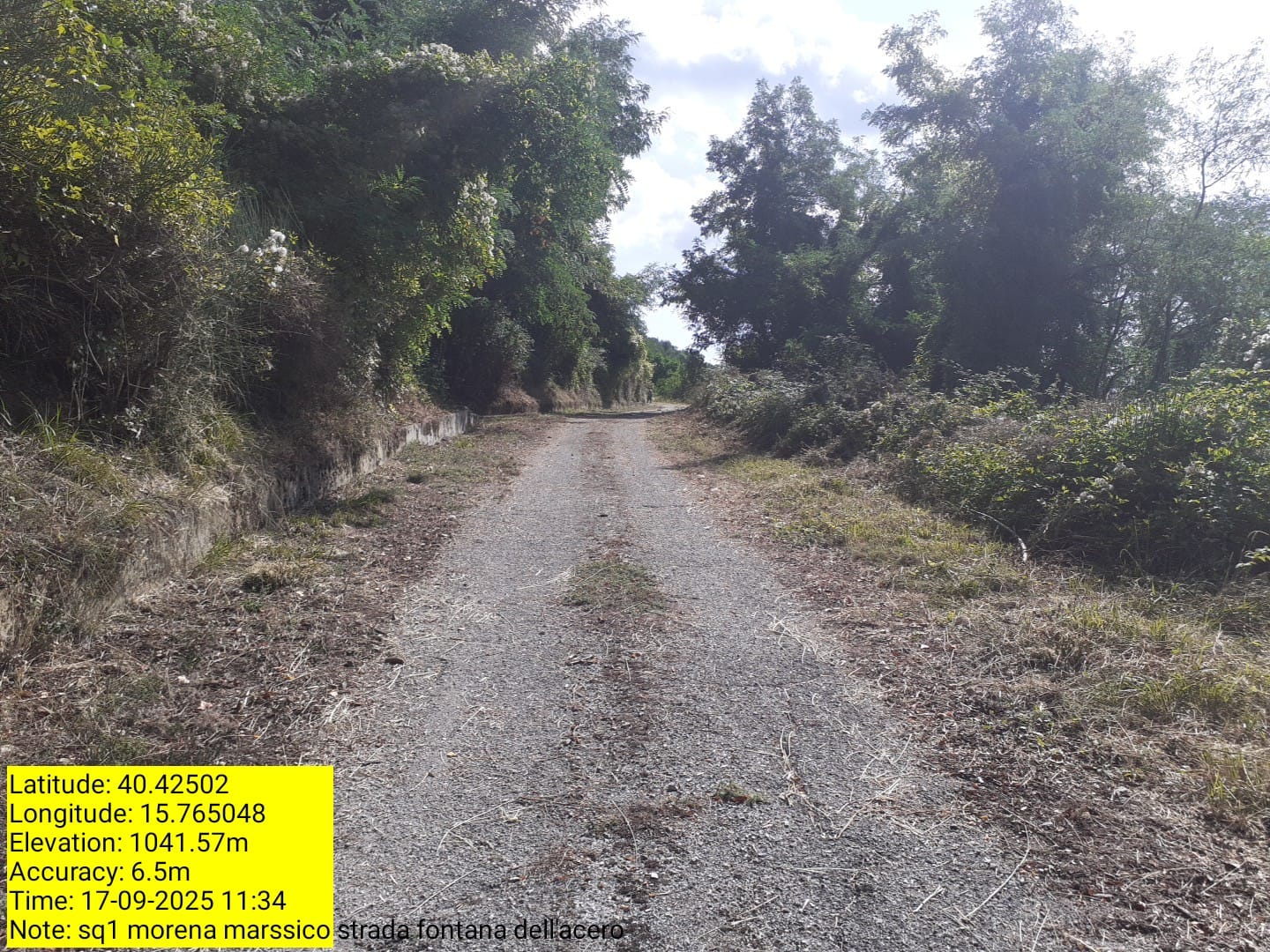 Galleria Fotografica Immagine