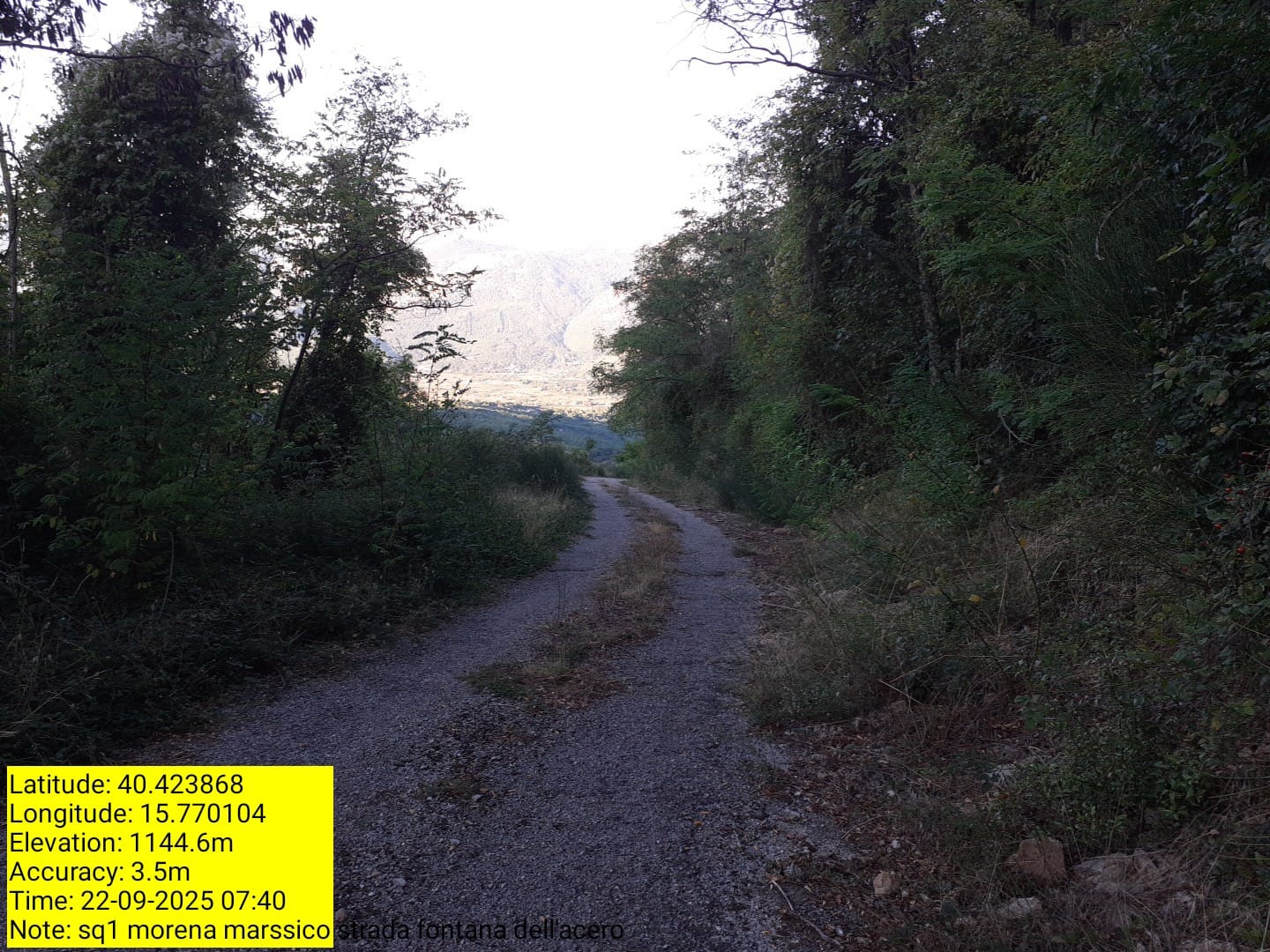 Galleria Fotografica Immagine