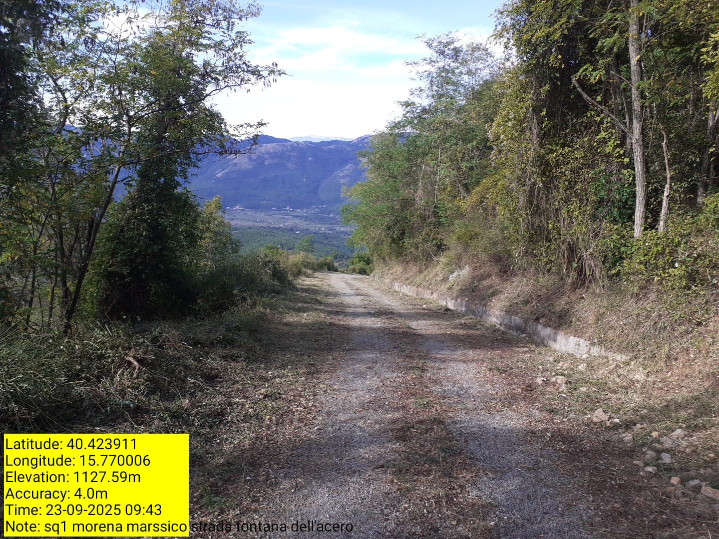 Galleria Fotografica Immagine