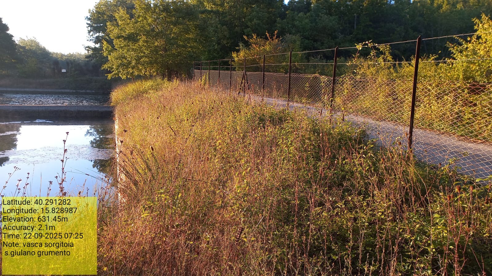 Galleria Fotografica Immagine