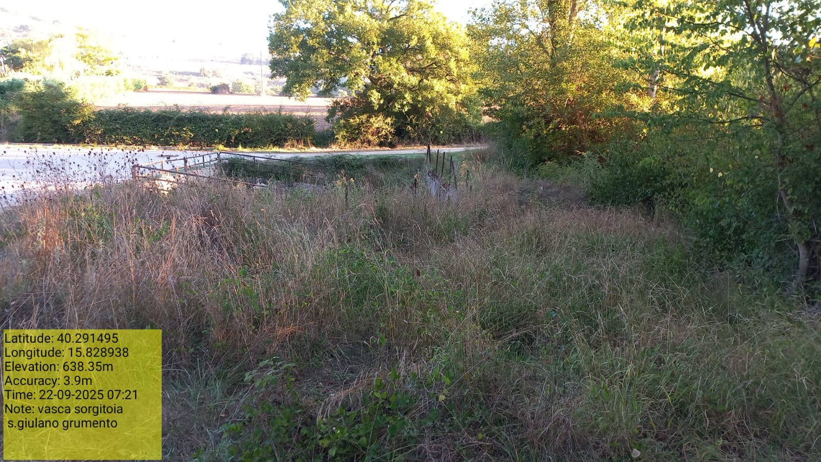 Galleria Fotografica Immagine