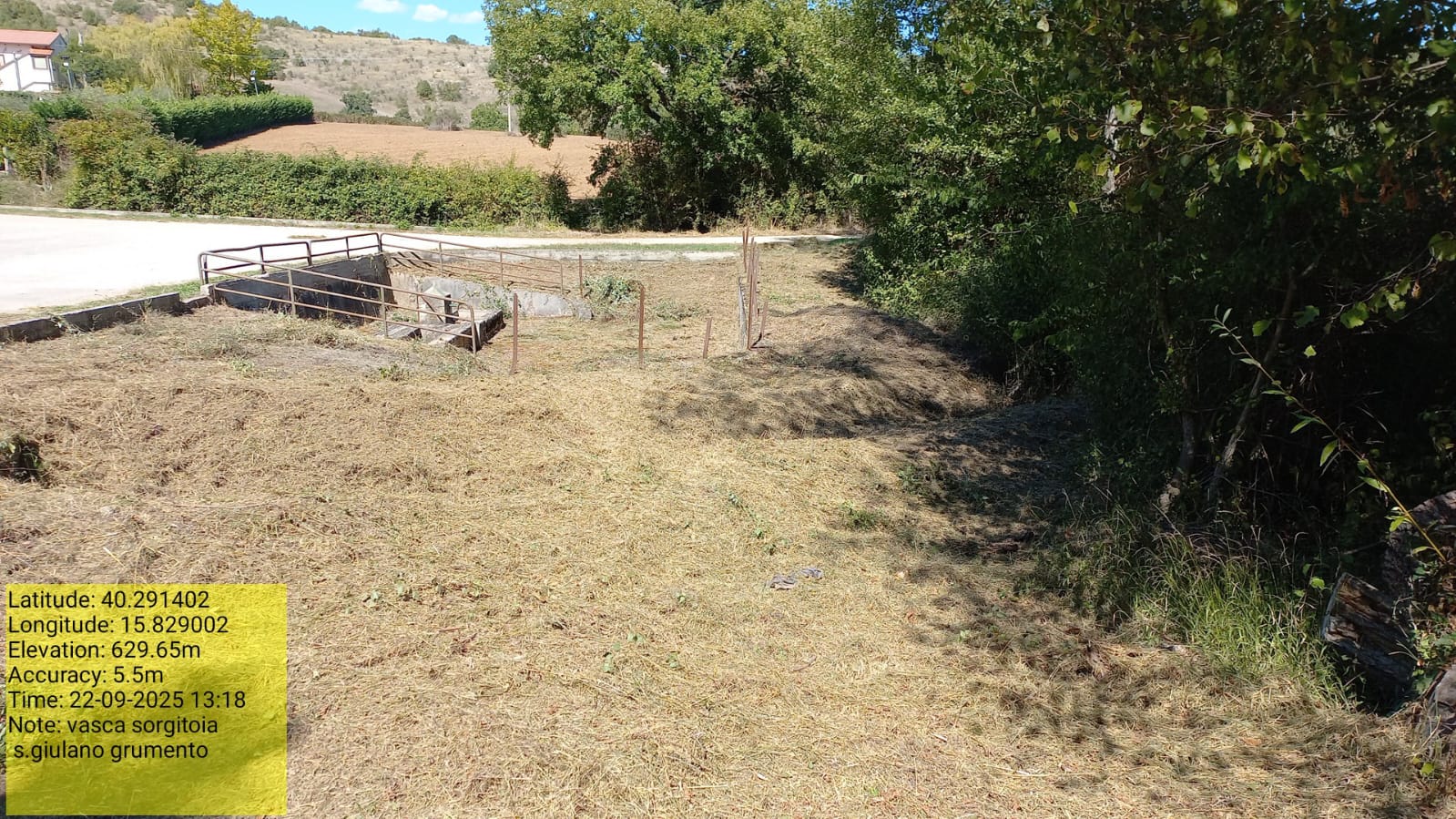 Galleria Fotografica Immagine