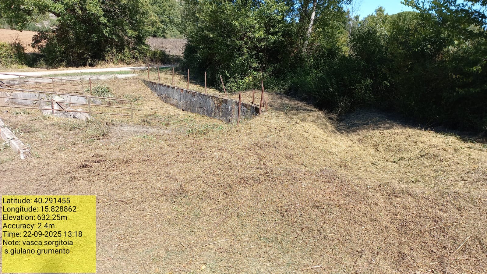 Galleria Fotografica Immagine