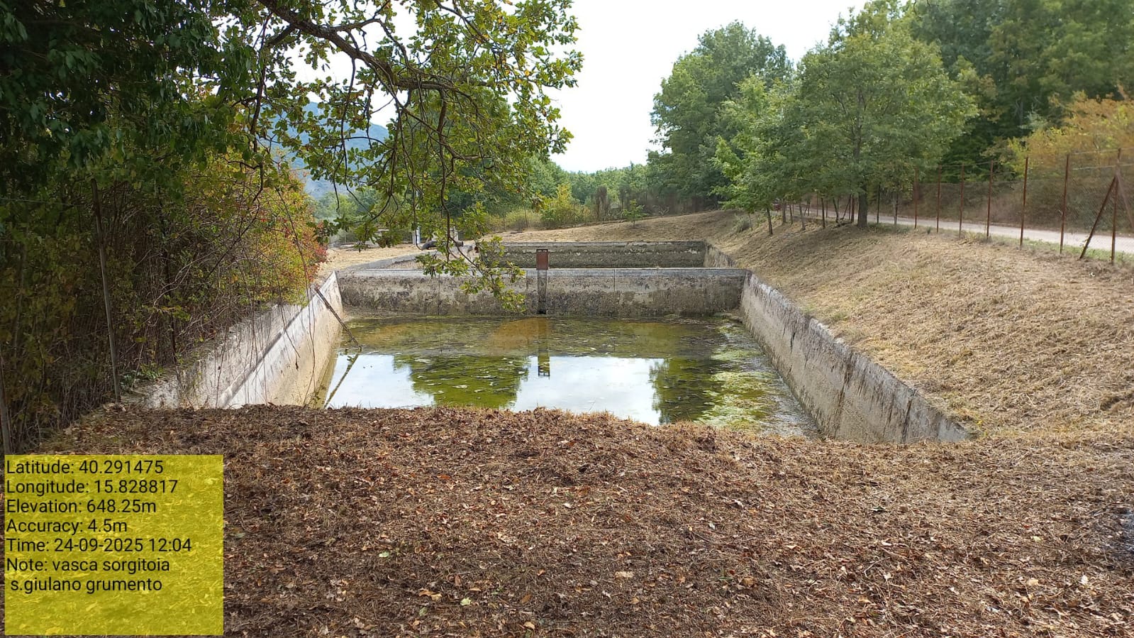 Galleria Fotografica Immagine