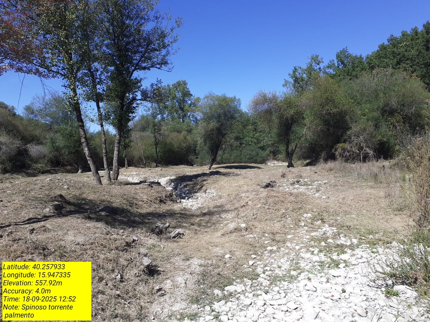 Galleria Fotografica Immagine