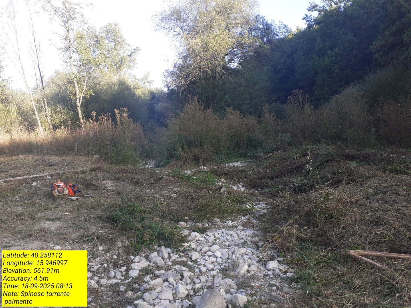 Galleria Fotografica Immagine