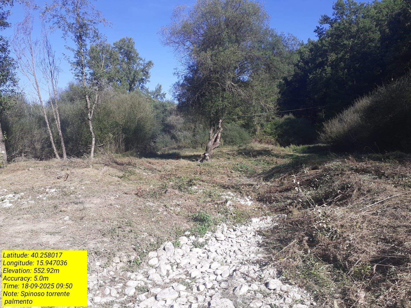 Galleria Fotografica Immagine