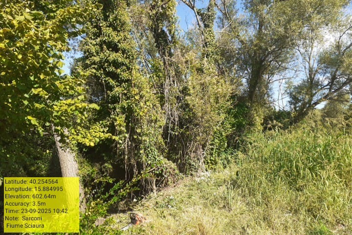 Galleria Fotografica Immagine