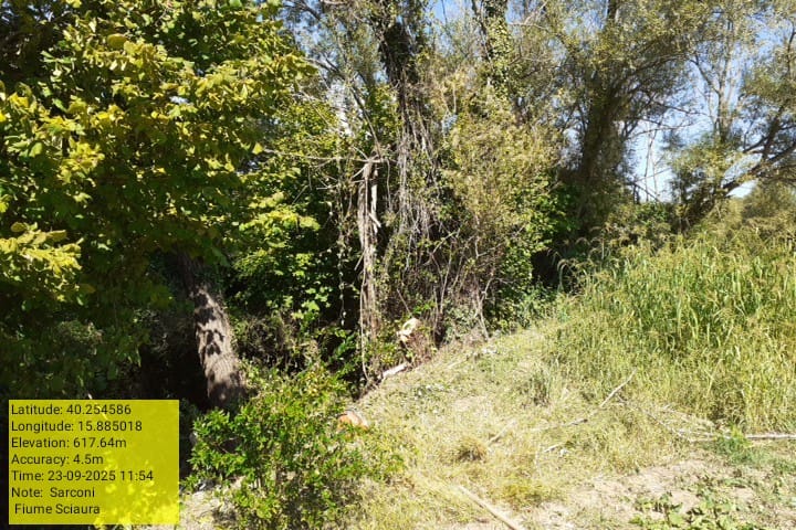 Galleria Fotografica Immagine