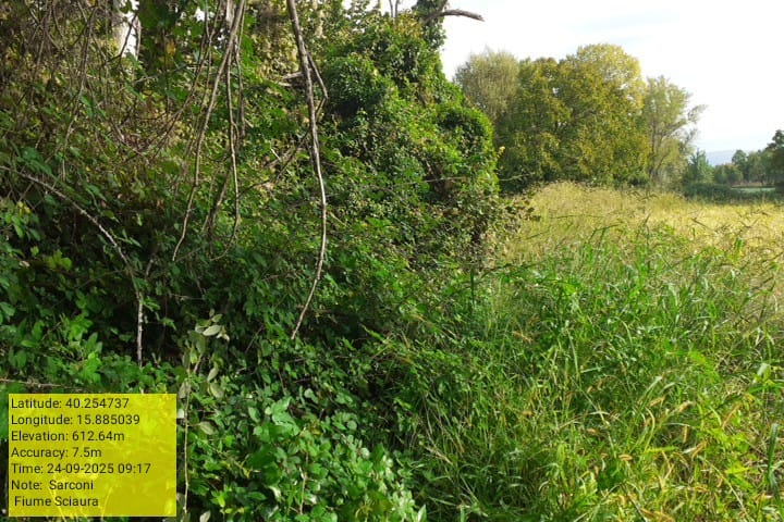 Galleria Fotografica Immagine