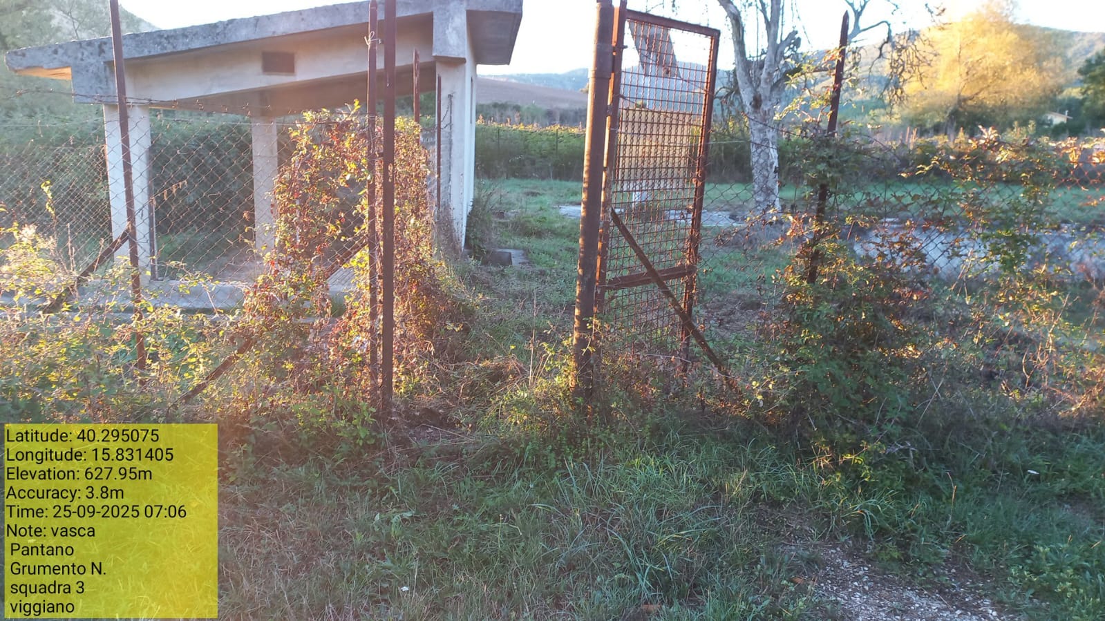 Galleria Fotografica Immagine