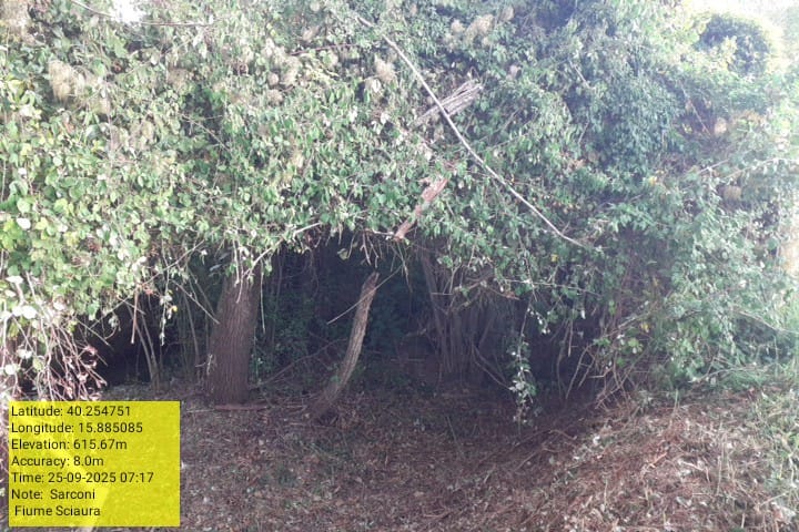 Galleria Fotografica Immagine