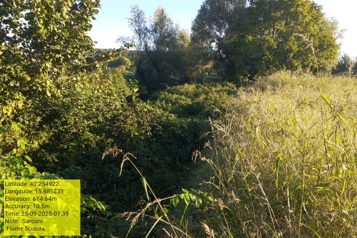 Galleria Fotografica Immagine