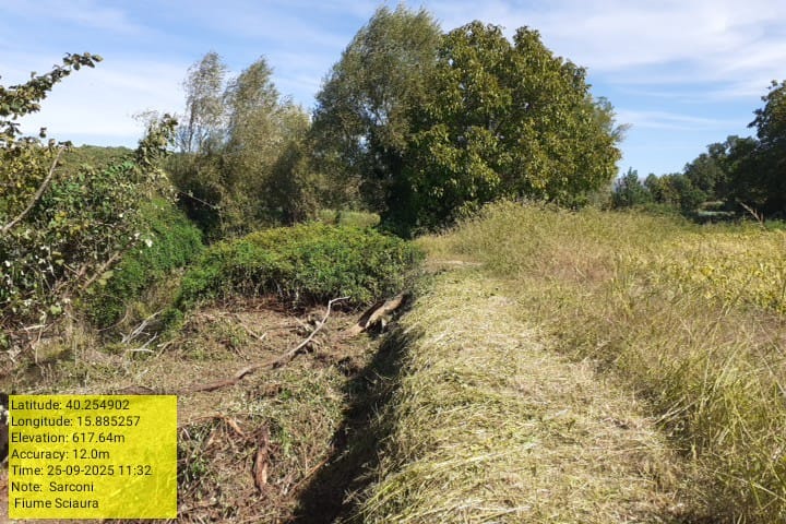 Galleria Fotografica Immagine