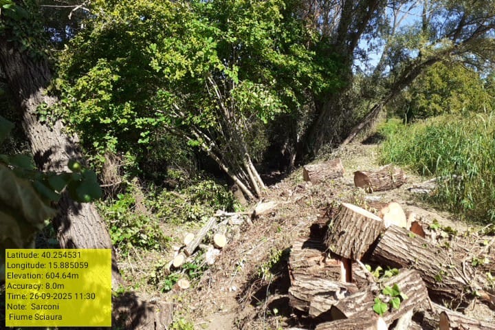 Galleria Fotografica Immagine