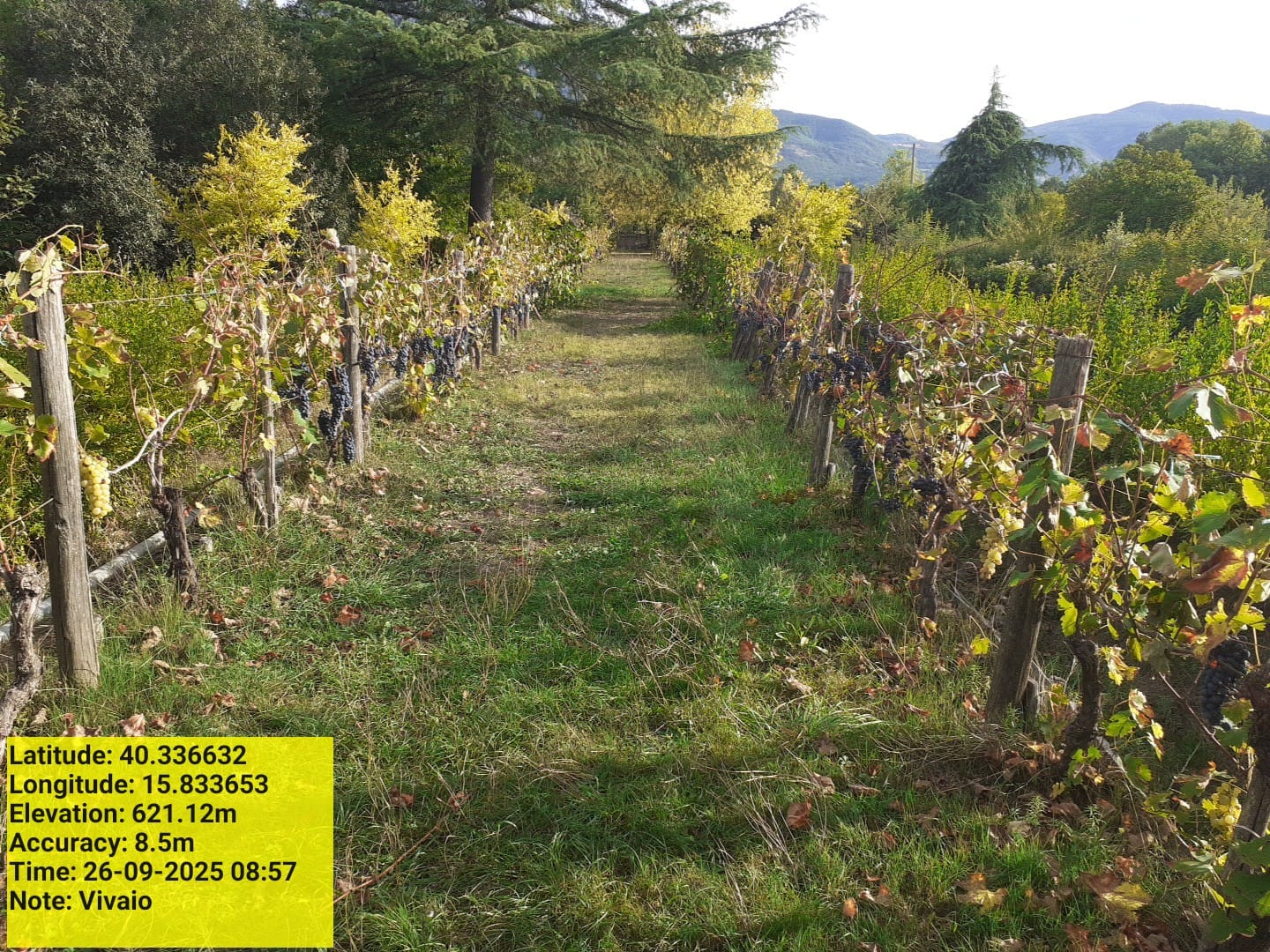 Galleria Fotografica Immagine