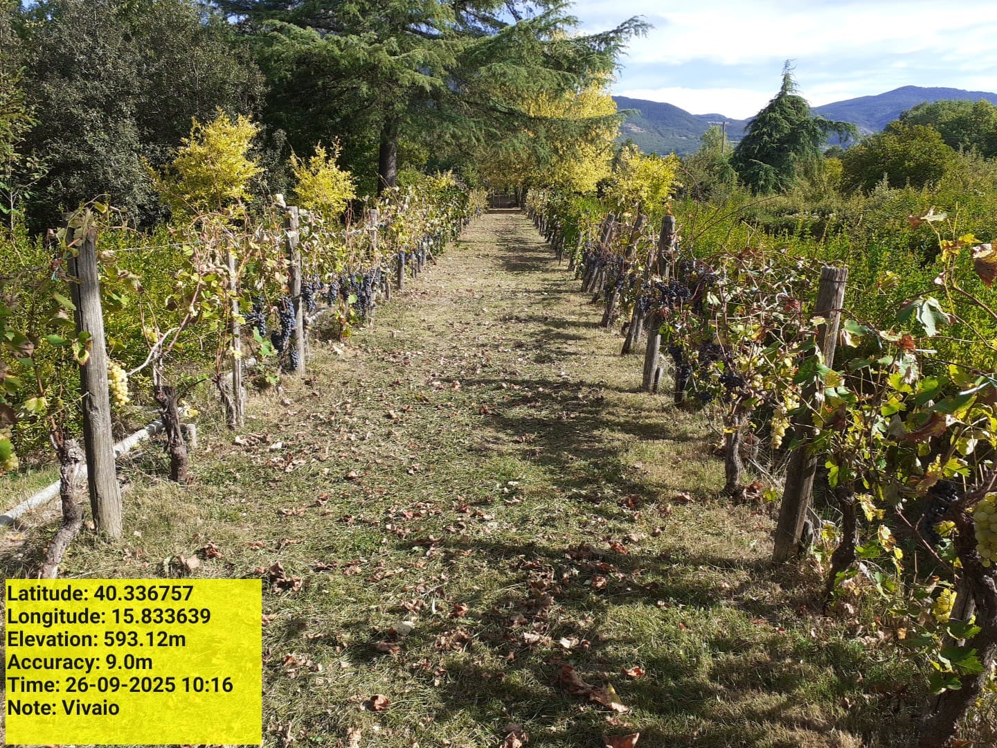 Galleria Fotografica Immagine