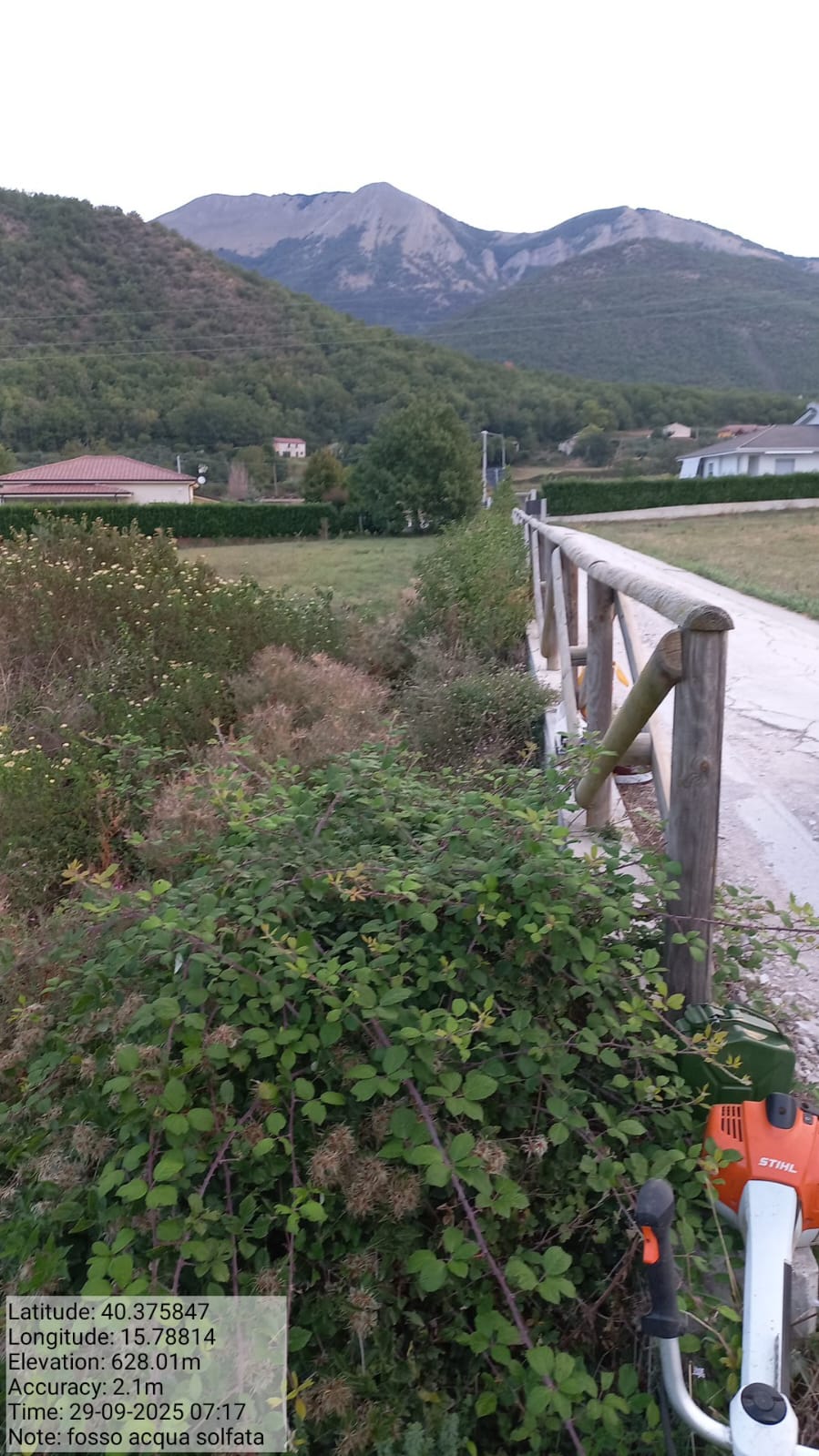 Galleria Fotografica Immagine