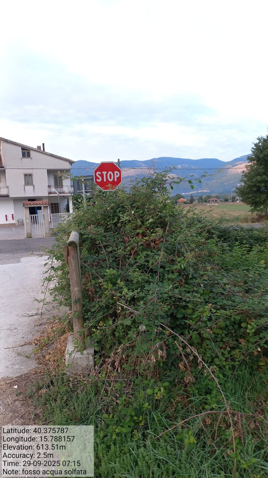 Galleria Fotografica Immagine