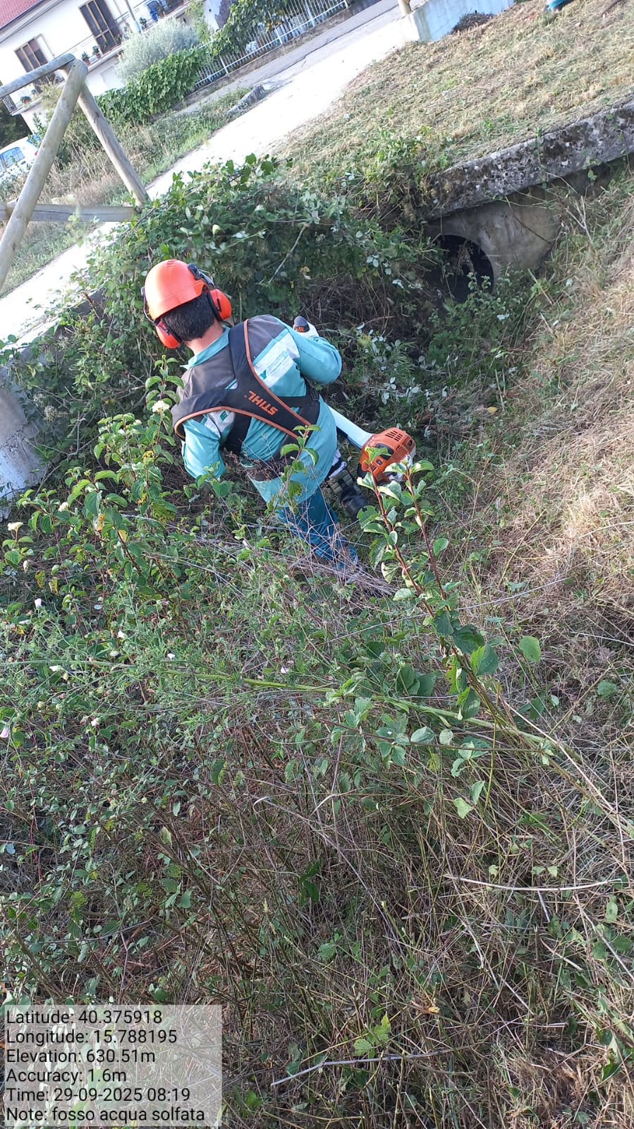 Galleria Fotografica Immagine