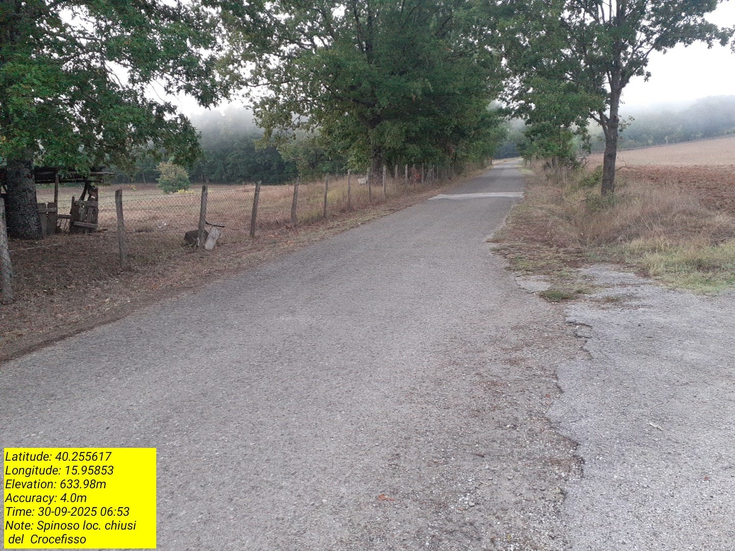 Galleria Fotografica Immagine