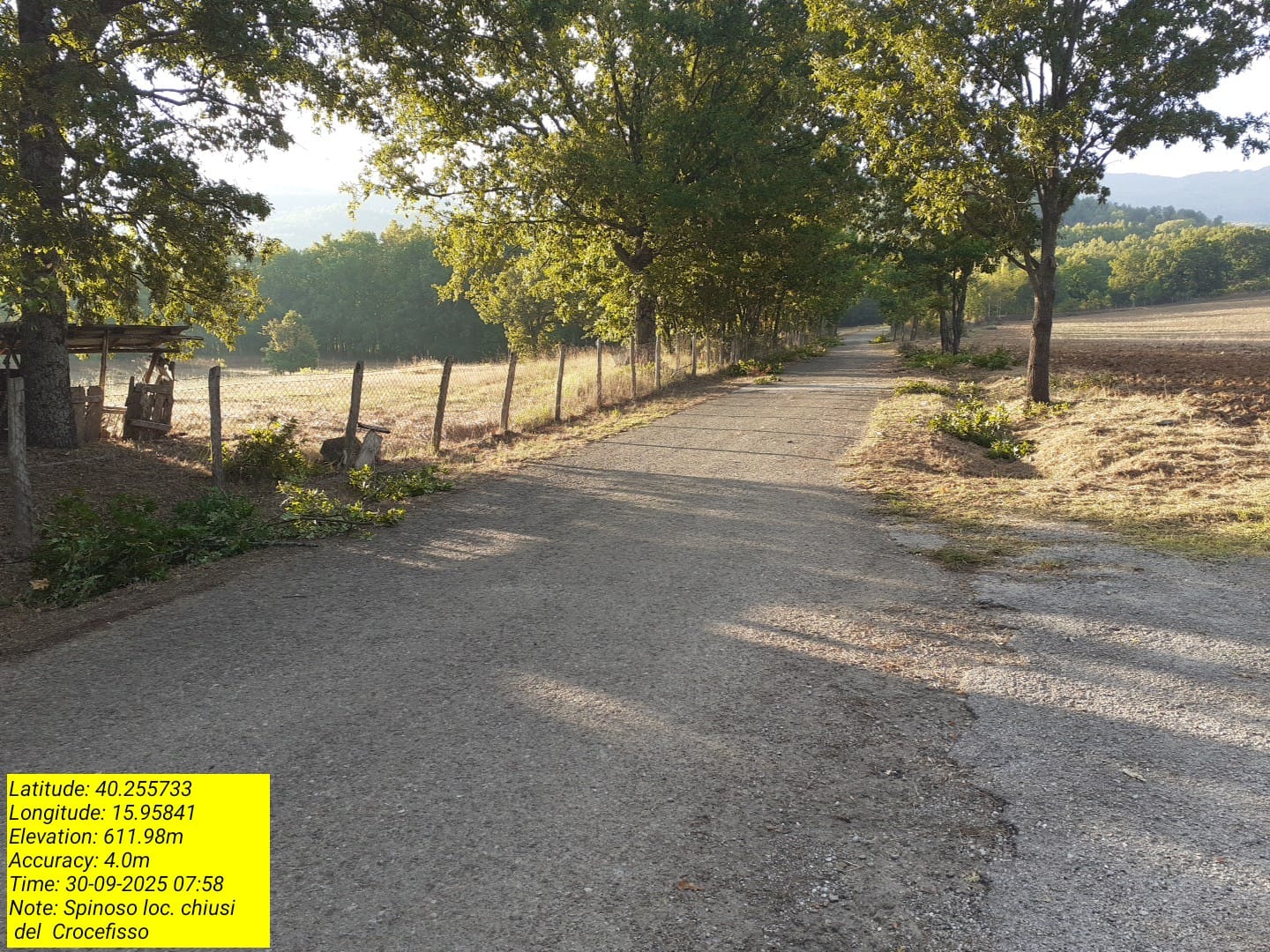 Galleria Fotografica Immagine