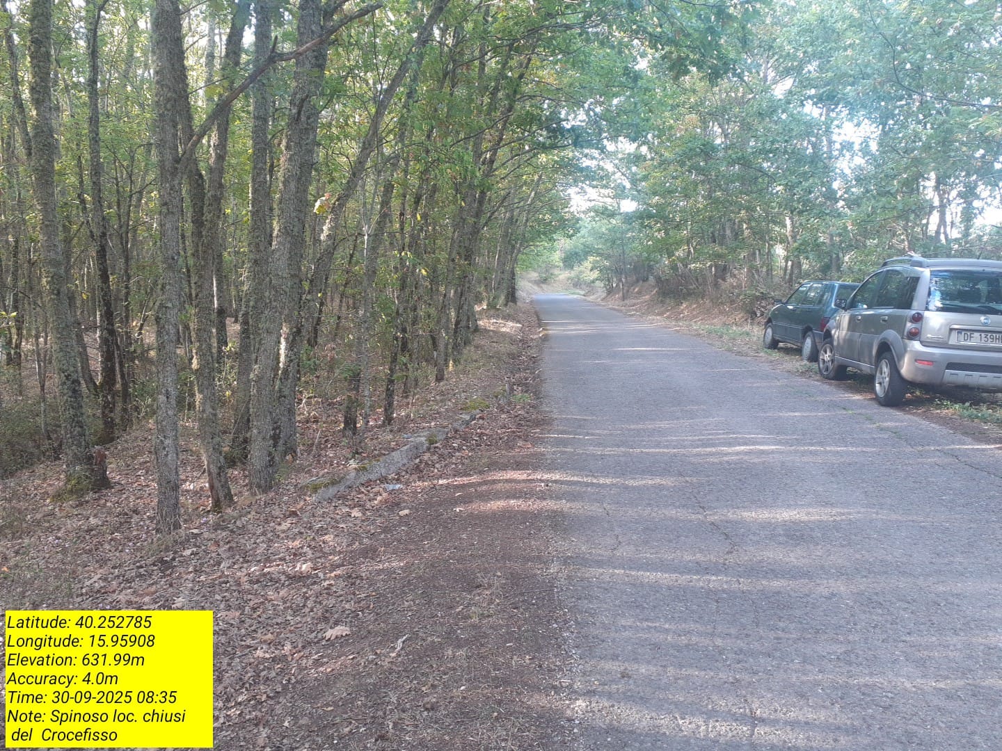 Galleria Fotografica Immagine