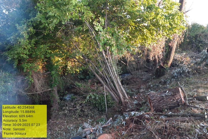 Galleria Fotografica Immagine