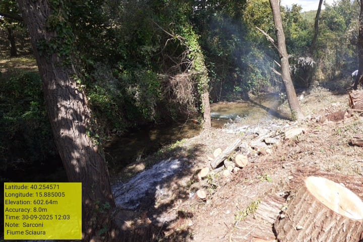 Galleria Fotografica Immagine