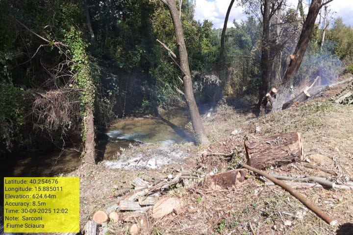 Galleria Fotografica Immagine