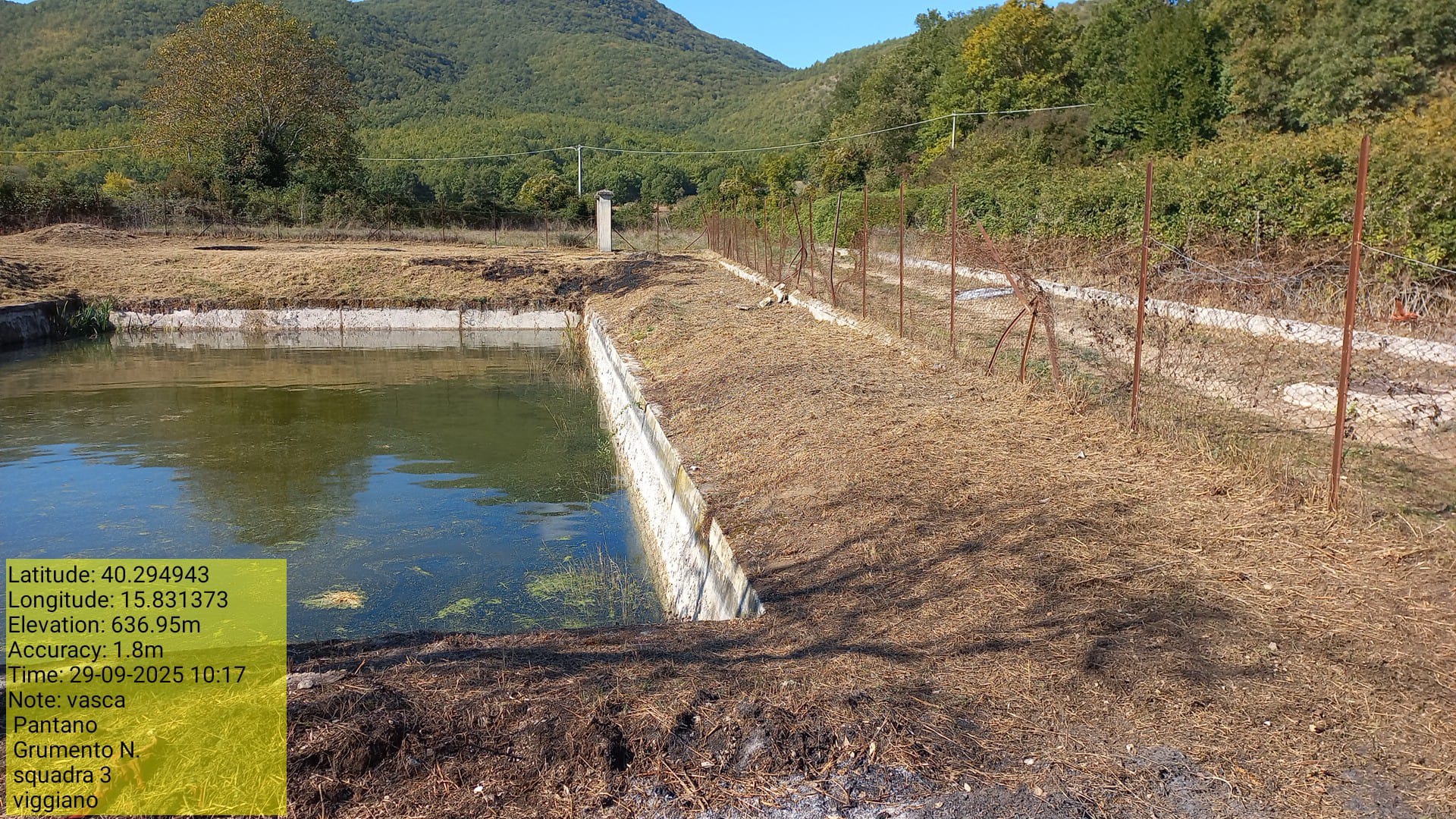 Galleria Fotografica Immagine