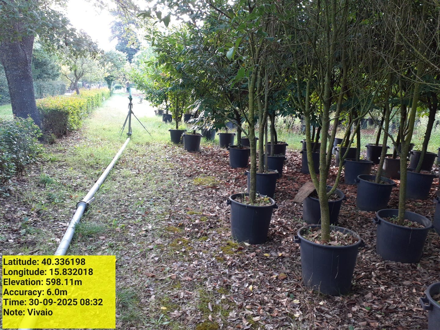 Galleria Fotografica Immagine