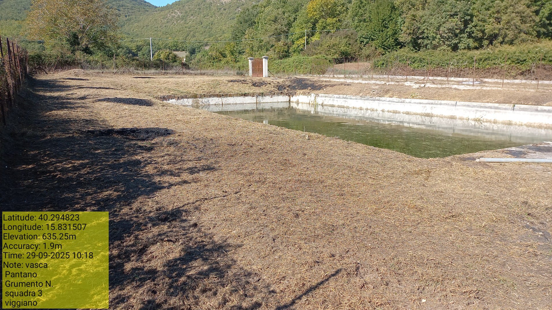 Galleria Fotografica Immagine