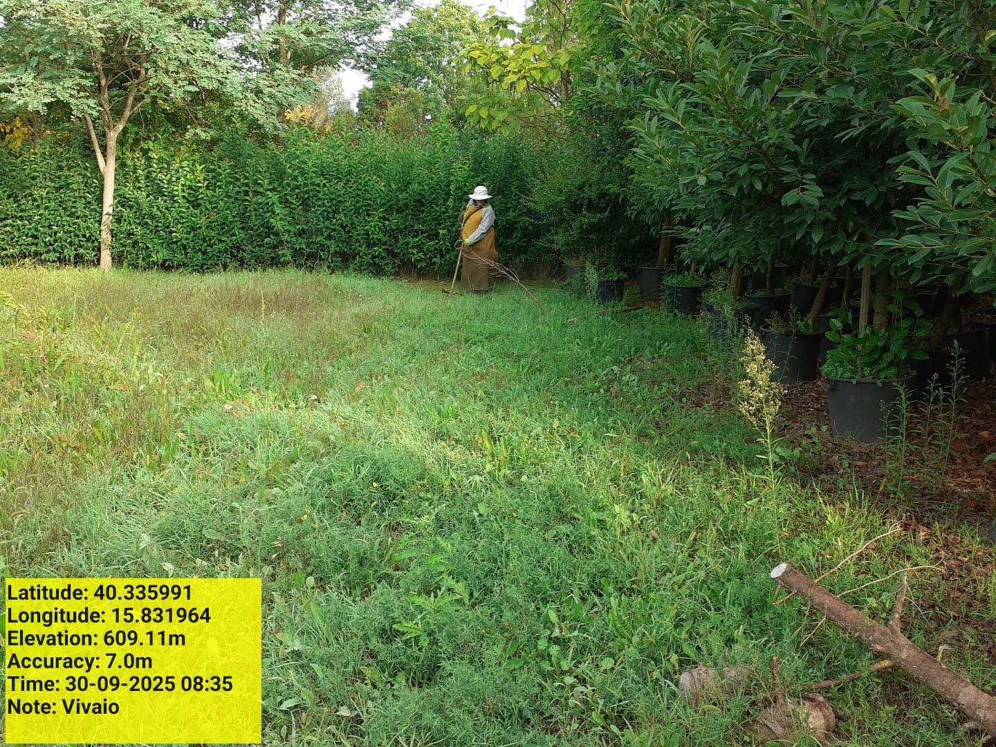 Galleria Fotografica Immagine