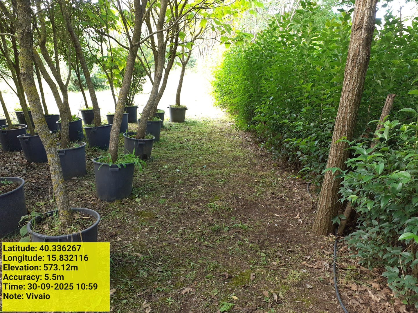 Galleria Fotografica Immagine