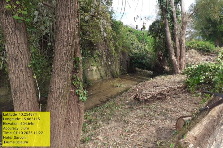 Galleria Fotografica Immagine