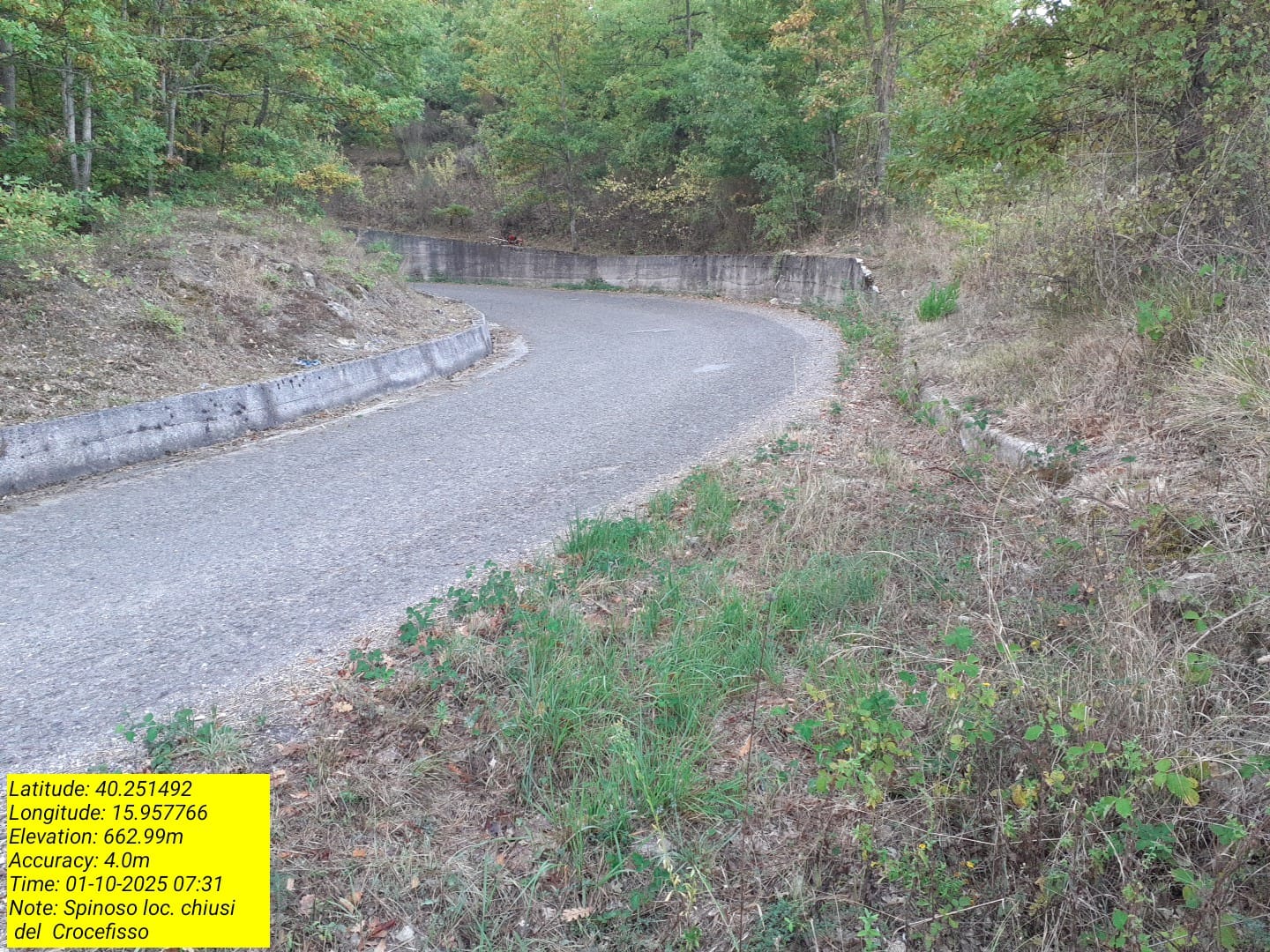 Galleria Fotografica Immagine