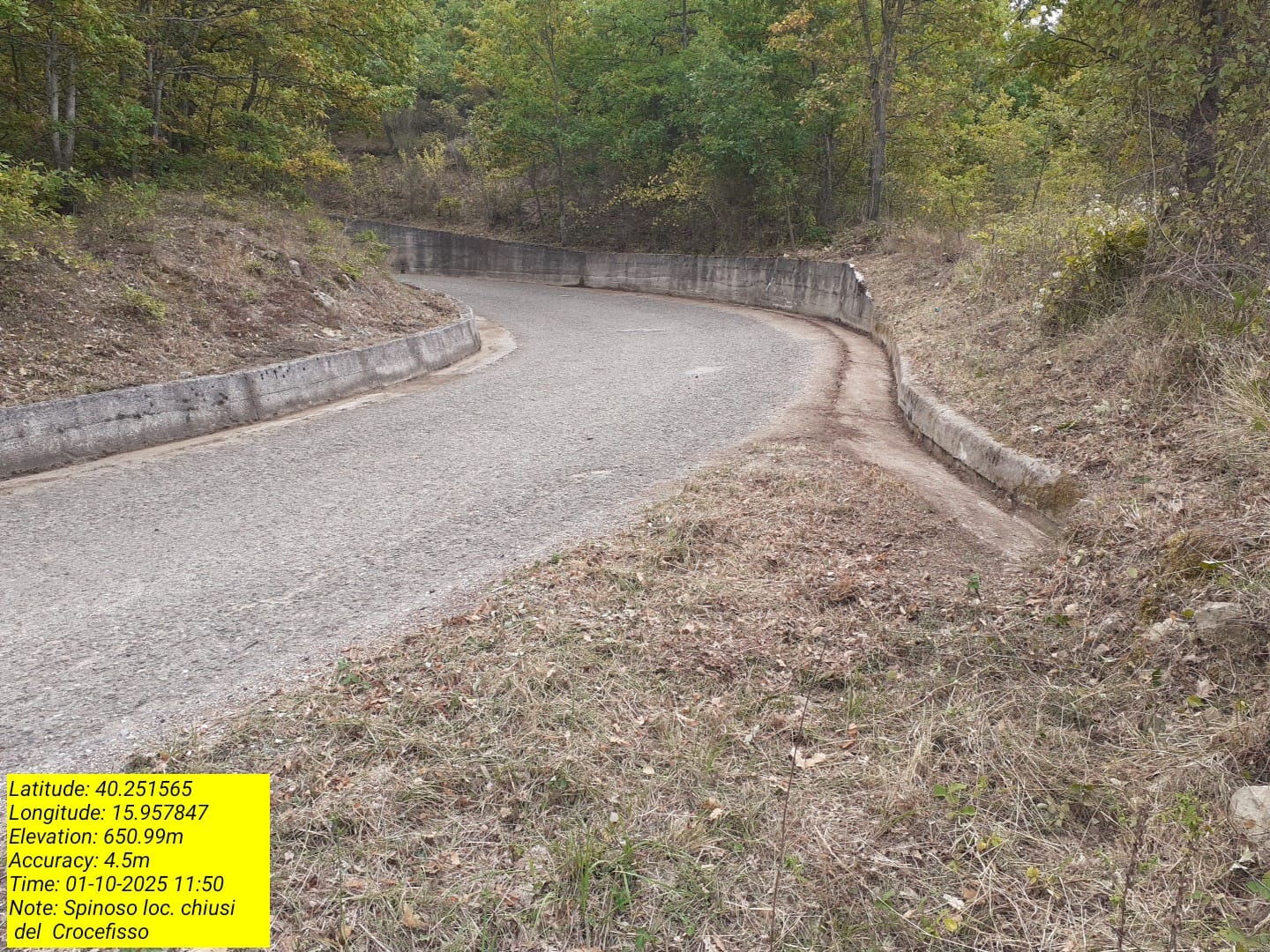 Galleria Fotografica Immagine