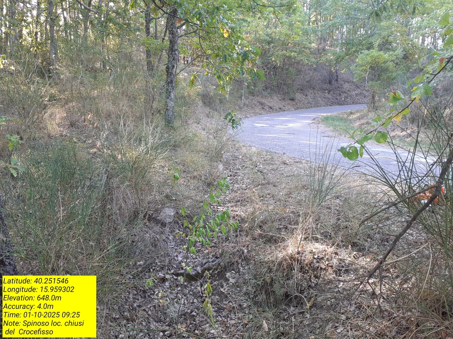 Galleria Fotografica Immagine