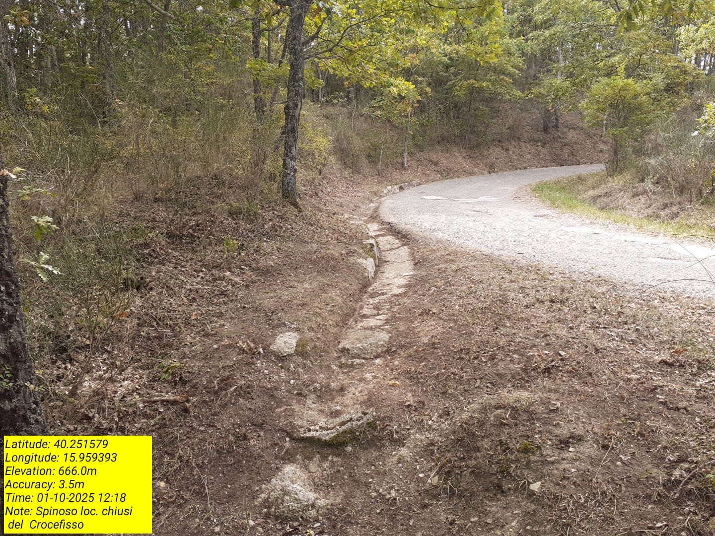 Galleria Fotografica Immagine