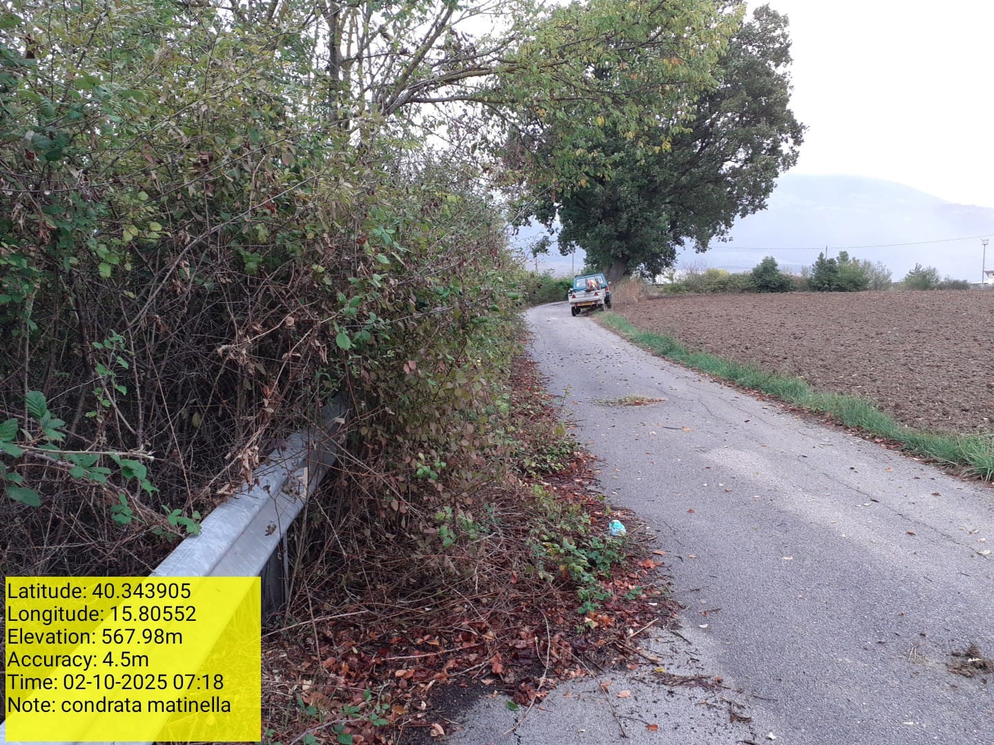 Galleria Fotografica Immagine