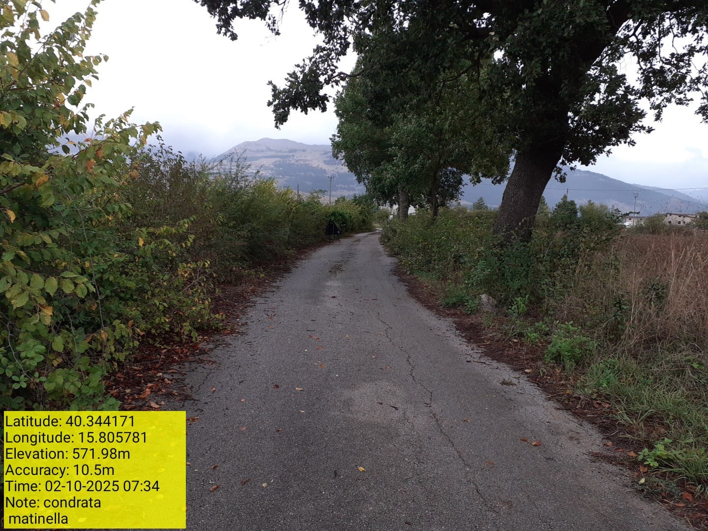 Galleria Fotografica Immagine