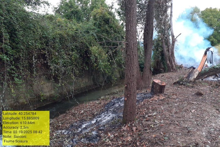 Galleria Fotografica Immagine