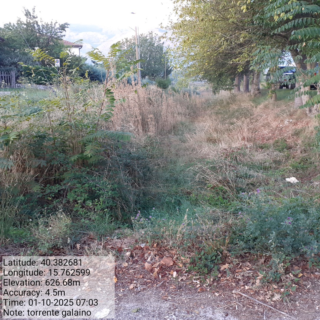 Galleria Fotografica Immagine