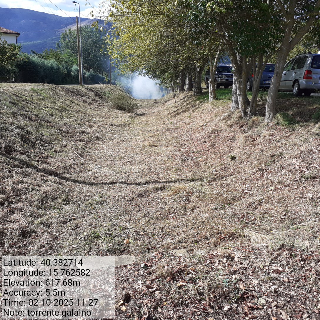 Galleria Fotografica Immagine